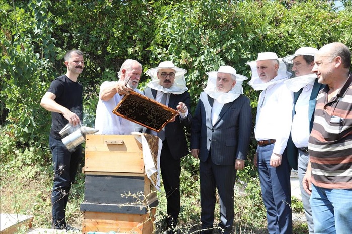 İnegöl bal üretiminde vites yükseltti