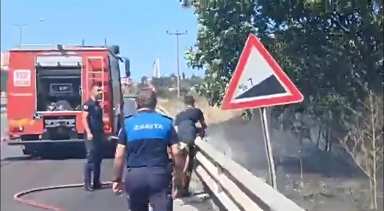 Gemlik’te kuru otlukta yangın çıktı