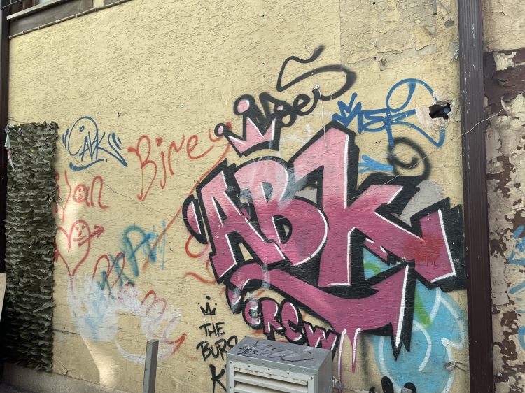 Grafiti sanatı Bursa sokaklarını sardı