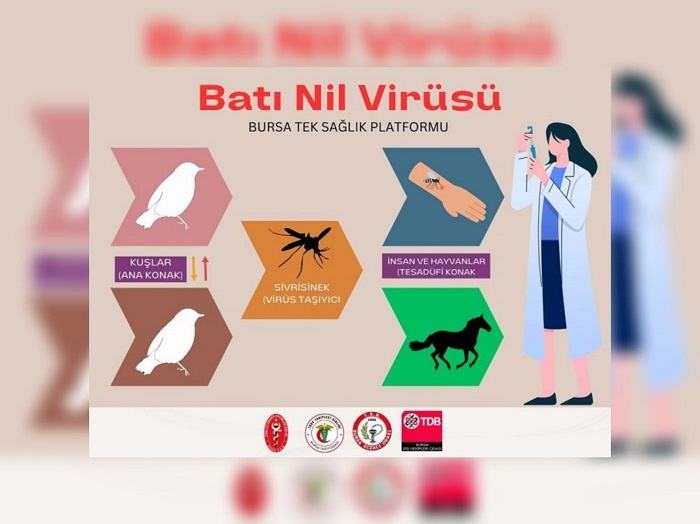 Batı Nil Virüsü hakkında basın açıklaması geldi