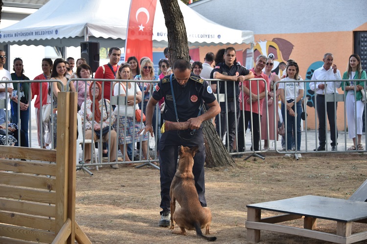 Halk Sağlığı Haftası’nda gündem, ‘Sokak Hayvanları’