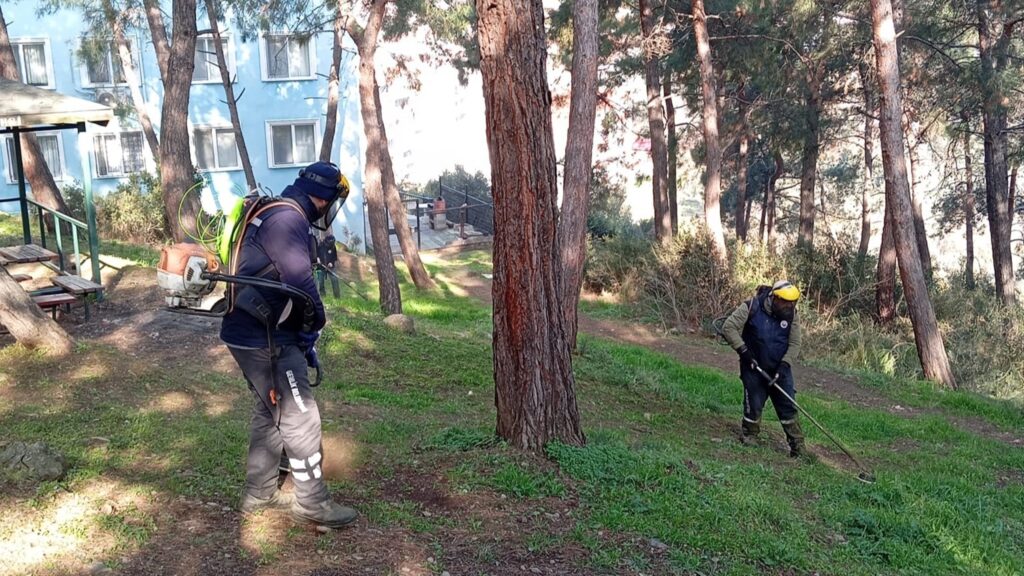 Gemlik’te yeşil seferberlik