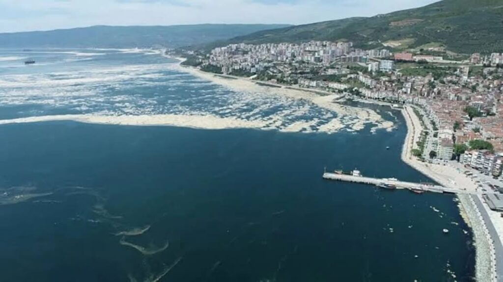 Müsilaj Sorunu Gemlik’te Öğrencilere Anlatıldı