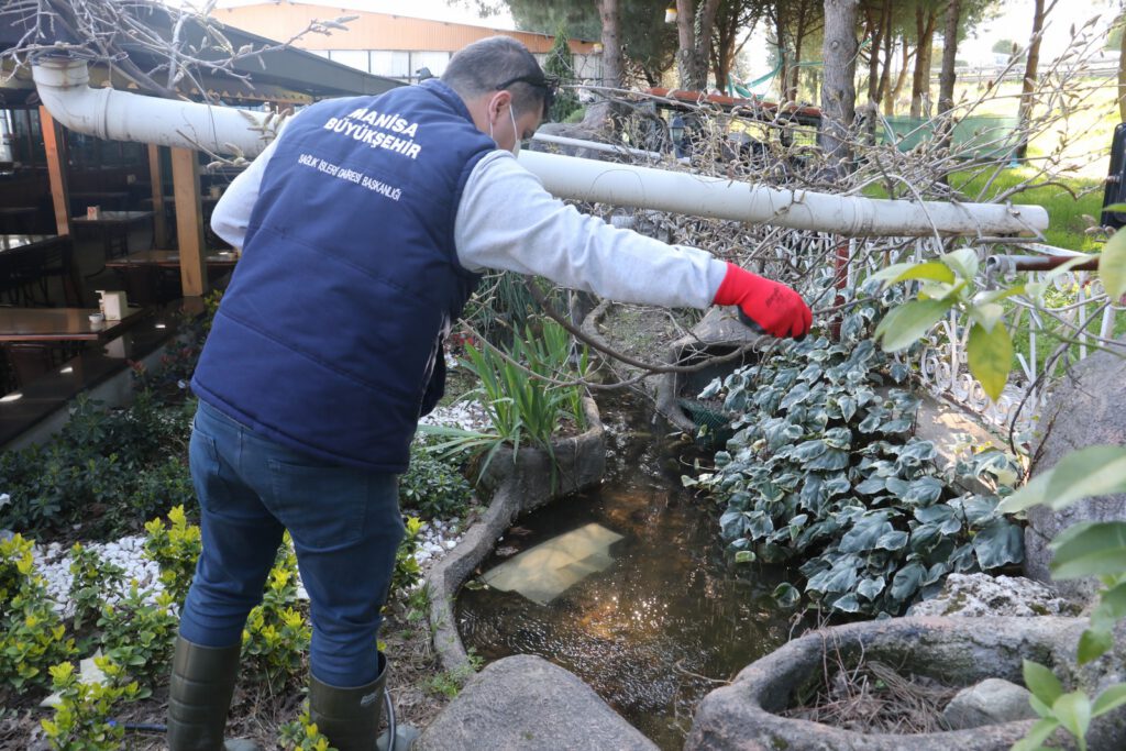 Manisa’da haşere mücadelesi başladı